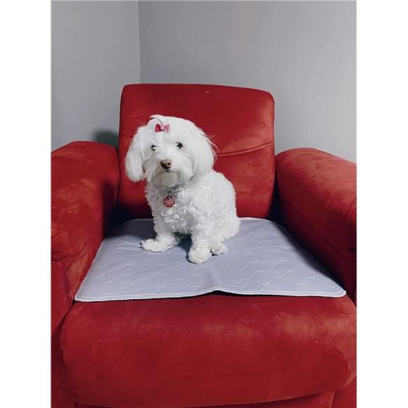 Potty Pads Washable Dog Pee Pads Reusable Puppy Pads Small to Extra Large (M) - Picture 6 of 6